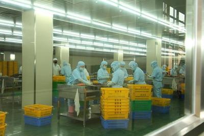 東莞道滘16家企業(yè)榮獲2022年度食品生產(chǎn)企業(yè)質量獎，彰顯產(chǎn)業(yè)高質量發(fā)展