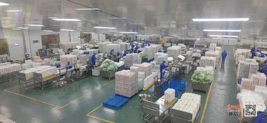 孟州市大定街道 踔厲奮發(fā)新征程，勇毅前行著華章——食品生產(chǎn)高質量發(fā)展之路